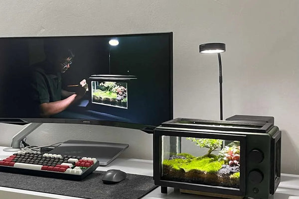 Choosing the Right Monitor: Key Factors to Consider